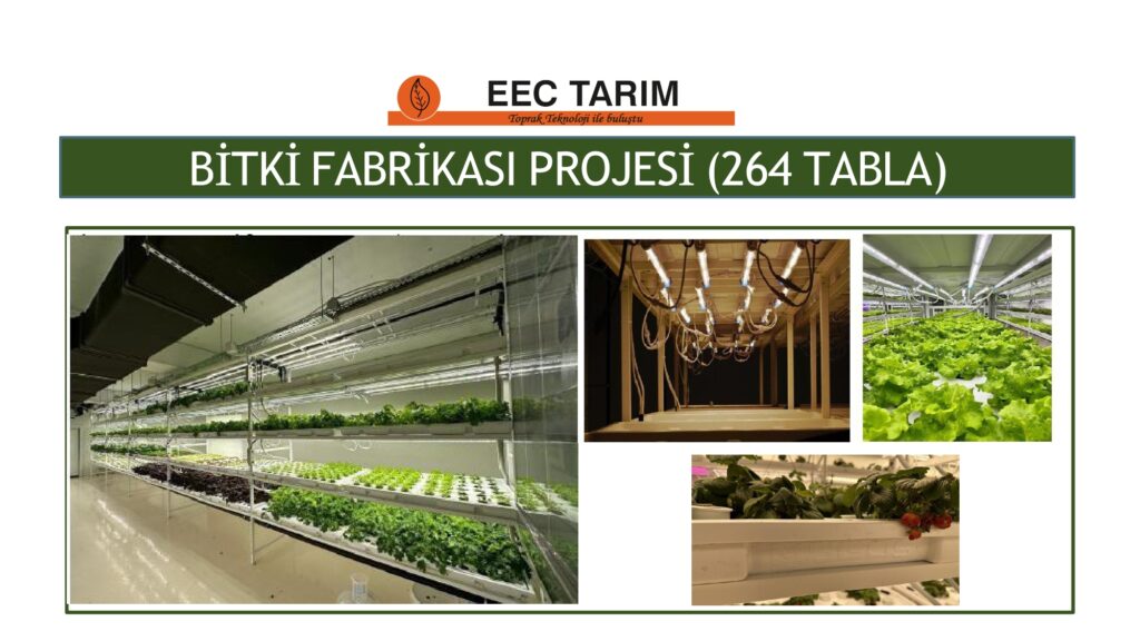 EEC TARIM FABRİKASI_page-0004